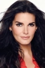 Angie Harmon Film ve Dizileri